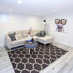 A modern basement living room with light wood flooring, a large geometric-patterned area rug, and an L-shaped beige sofa with gray and patterned throw pillows. A floor lamp stands behind a round coffee table decorated with plants. The wall features a quirky frog artwork.