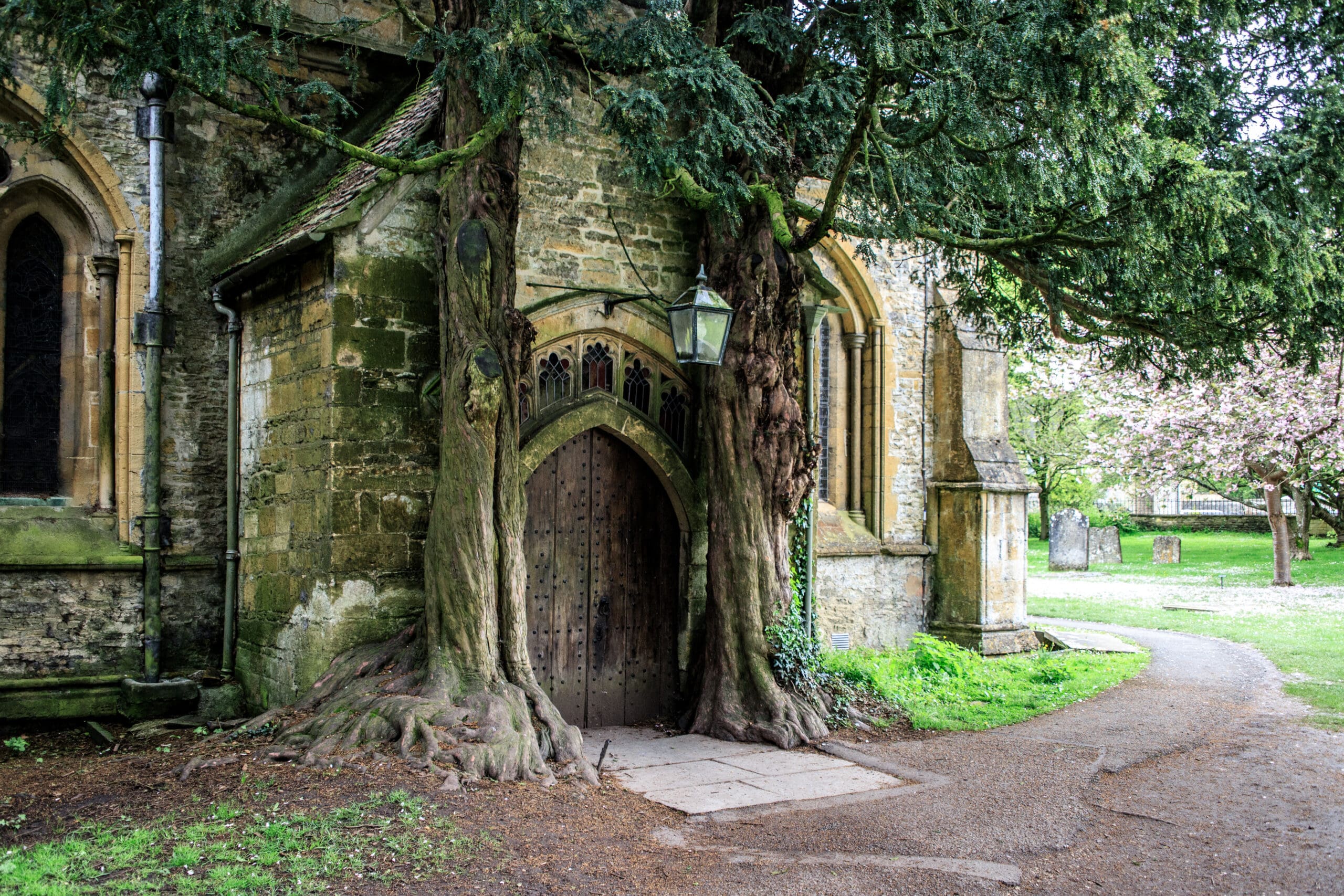 An old stone church with a wooden arched door framed by two large yew trees, their trunks growing closely around the doorway. A lantern hangs above the entrance, and a path curves through the green churchyard.